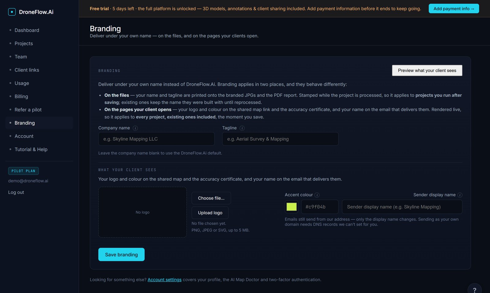 The Branding page with company name and tagline fields, a logo upload, an accent colour picker and a sender display name.