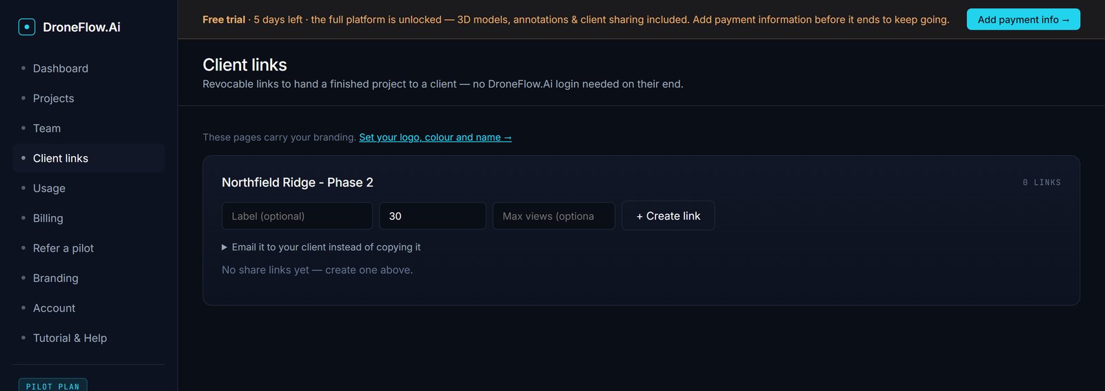 The Client links page listing issued share links with their expiry dates and view counts.